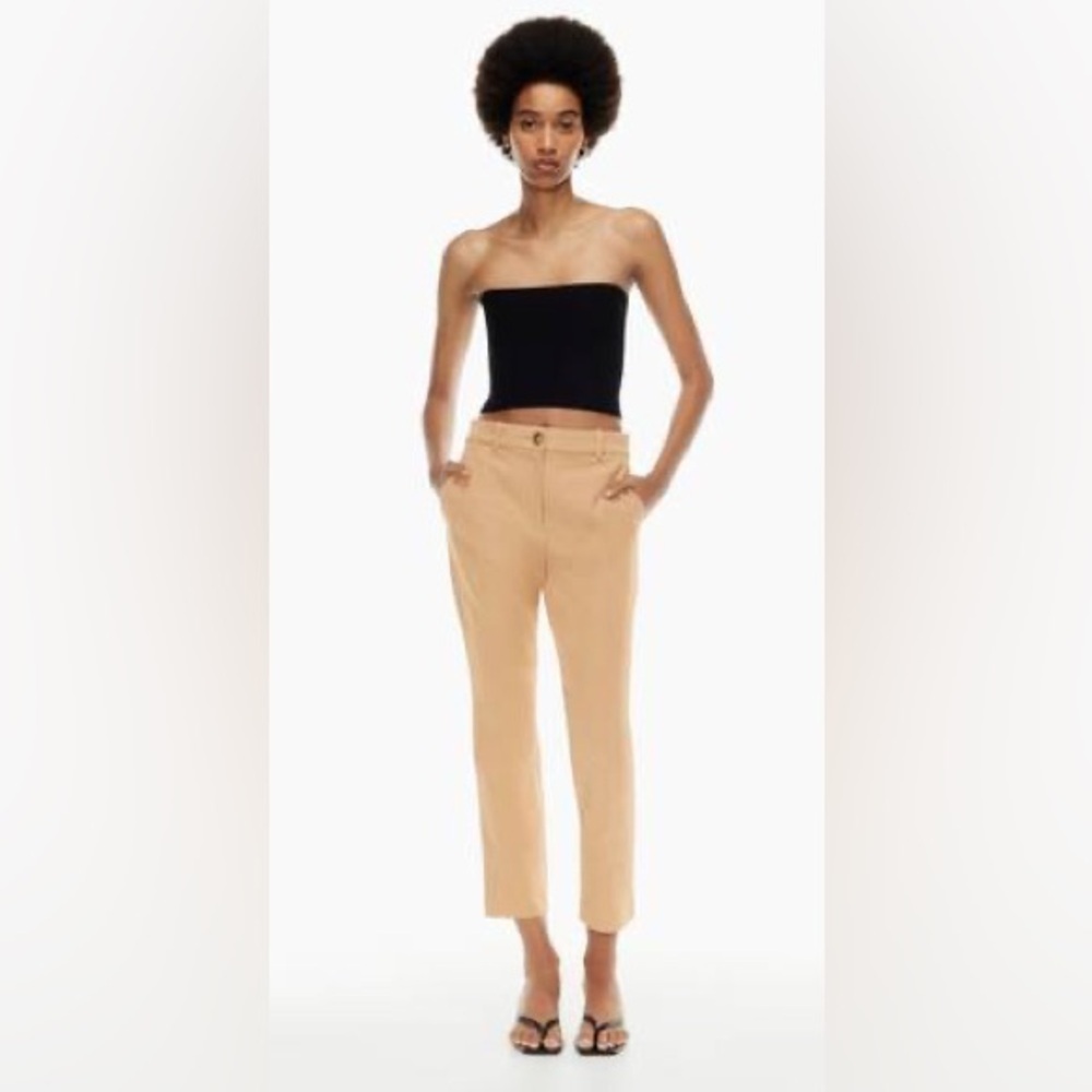 Aritzia Babaton Globe pant